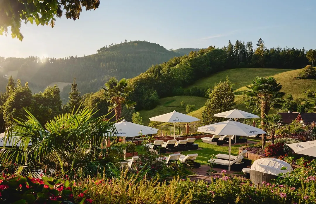 Hotel Dollenberg-1